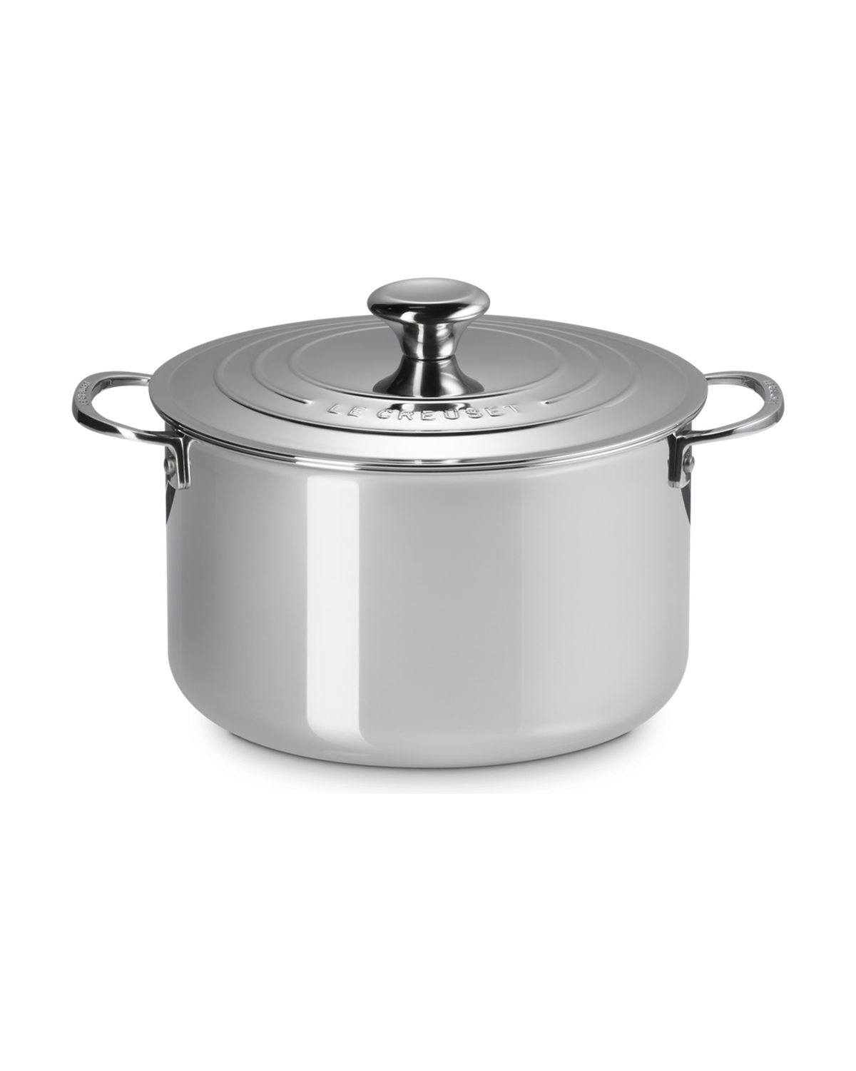Le Creuset Signature Stainless Steel Stock Pot with Lid